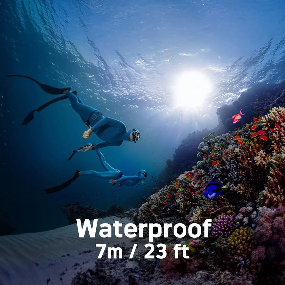 Imagen del producto 10